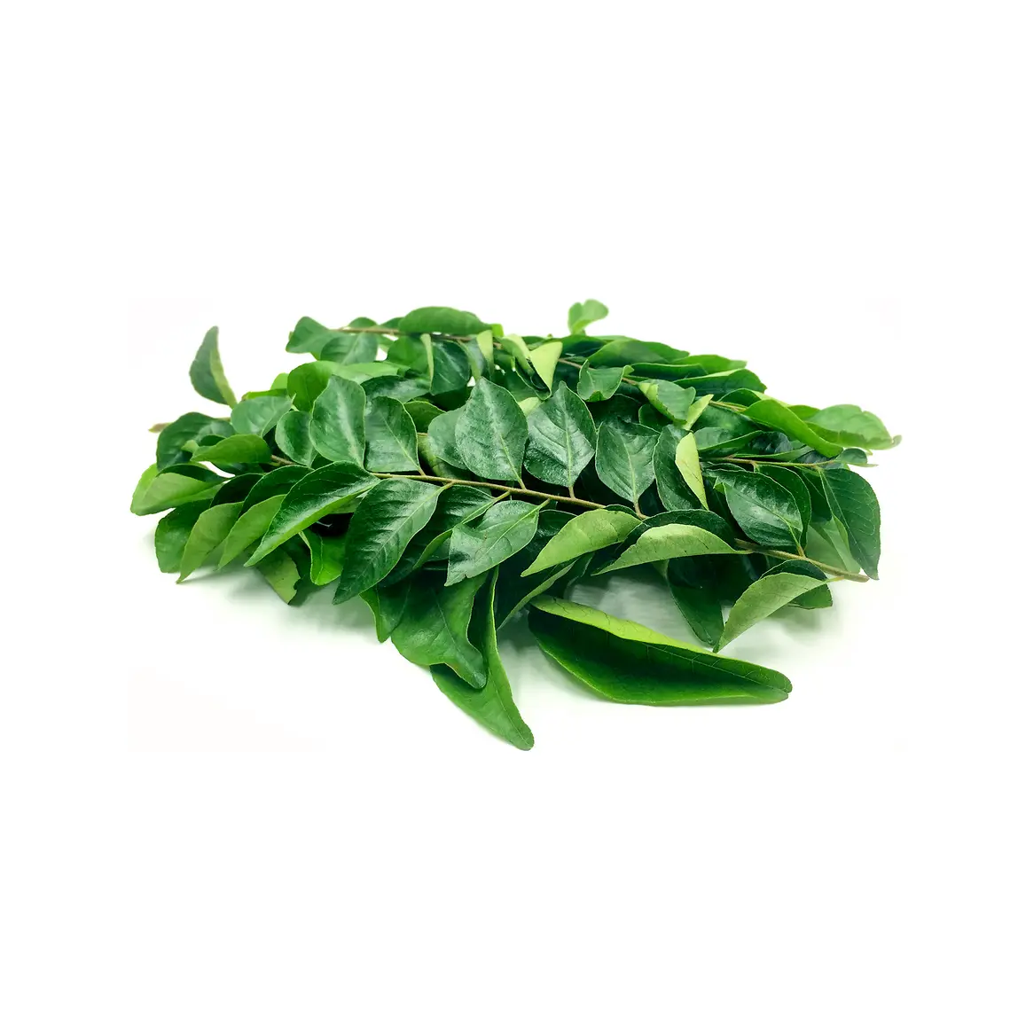 Curry Leaves 100g Sri Lanka